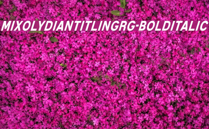 MixolydianTitlingRg-BoldItalic Example 2