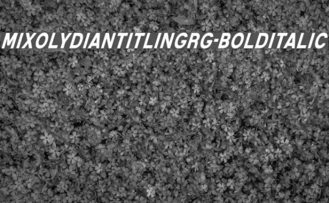 MixolydianTitlingRg-BoldItalic Font examples