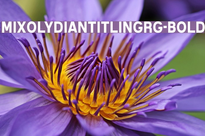 MixolydianTitlingRg-Bold Font examples