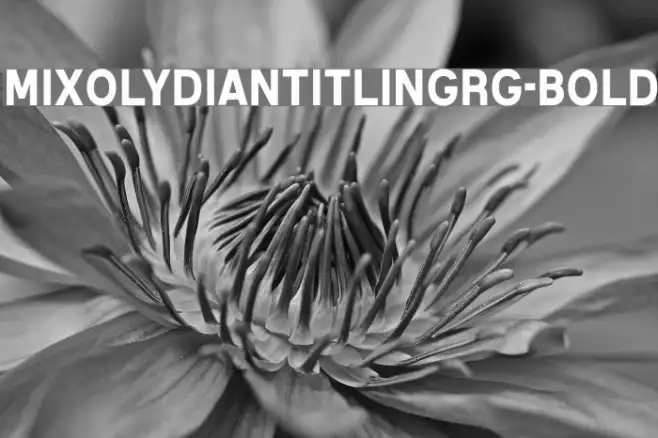 MixolydianTitlingRg-Bold Example 3