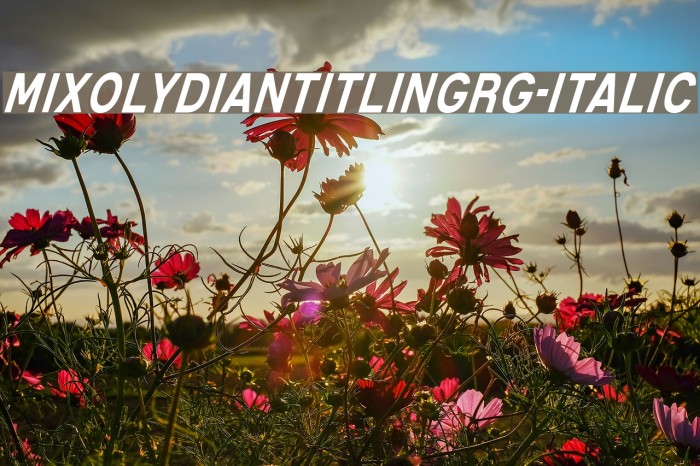 MixolydianTitlingRg-Italic Font examples