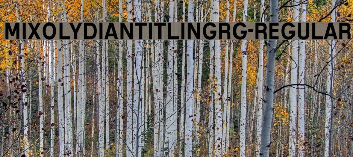 MixolydianTitlingRg-Regular Font examples