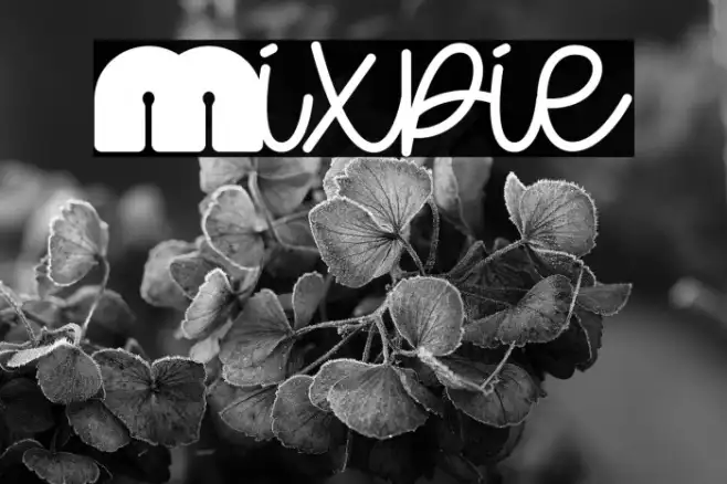 Mixpie Example 1