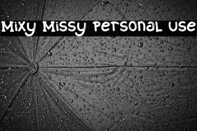 Mixy Missy Personal Use Example 1