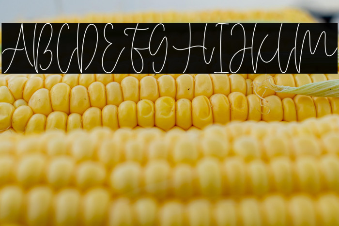 Miya Wayne Example 2