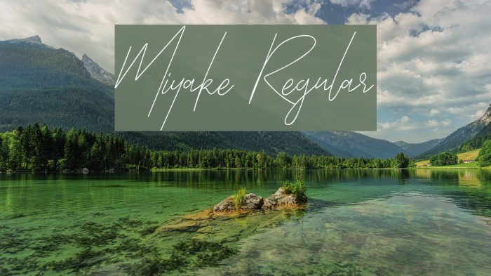 Miyake Regular Font examples