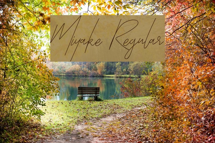 Miyake Regular Font examples