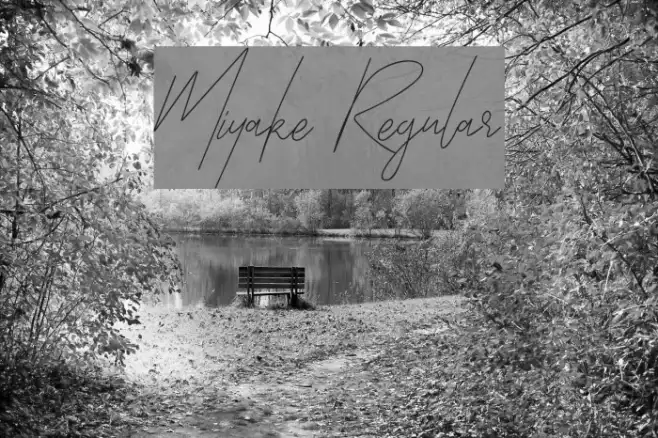 Miyake Regular Example 2