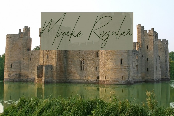 Miyake Regular Font examples
