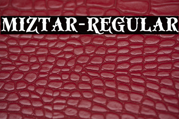 Miztar-Regular Example 2