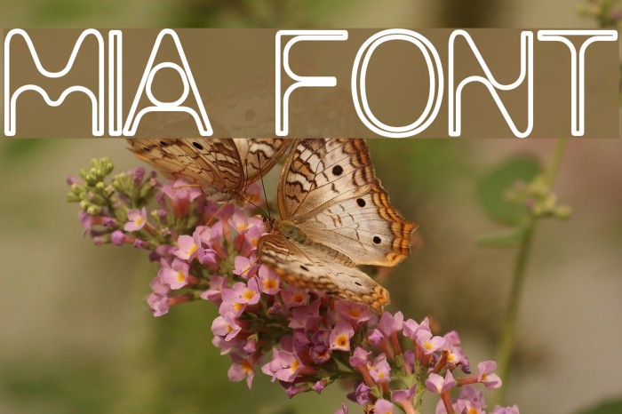mia Font examples