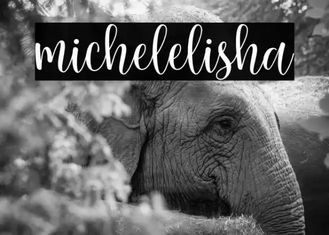 michelelisha Font examples