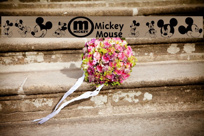 mickey m tfb Example 1