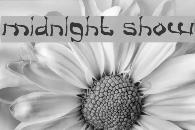midnight show Font examples