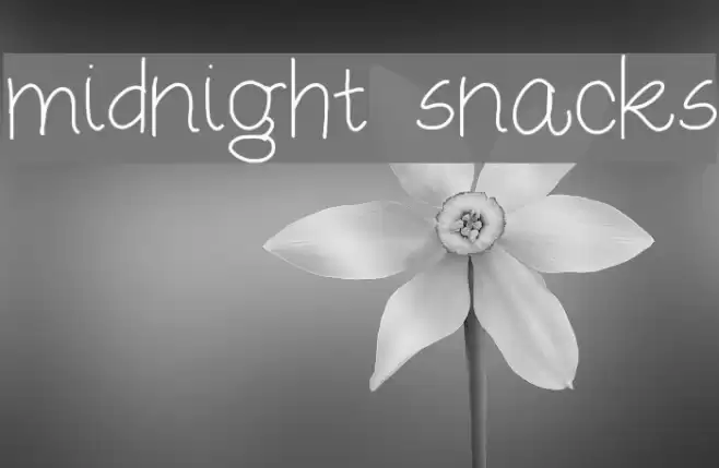 midnight snacks Font examples