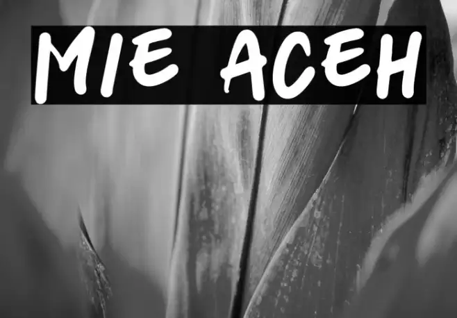 mie aceh Example 1
