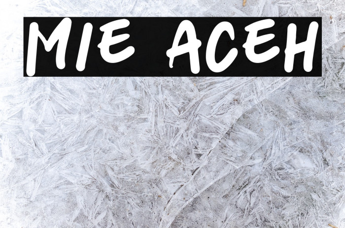 mie aceh Example 3