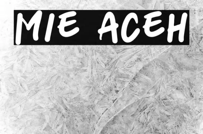 mie aceh Example 3