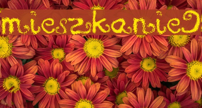 mieszkanie9 Font examples