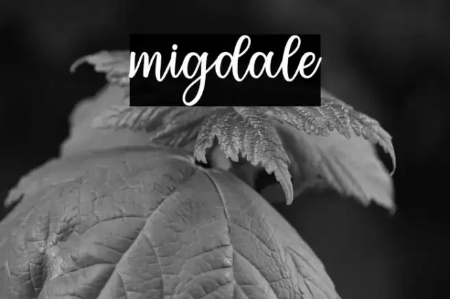 migdale Font examples