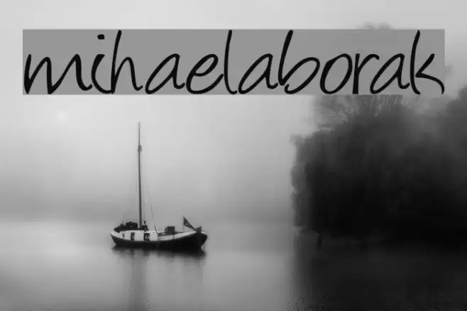 mihaelaborak  examples