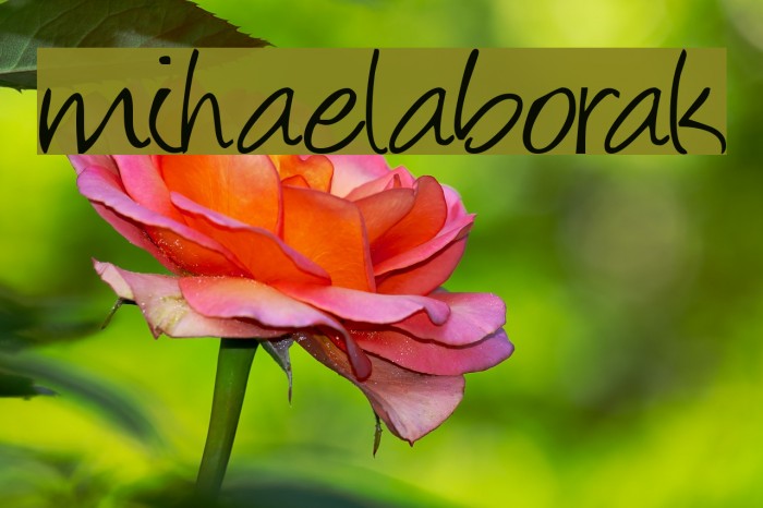 mihaelaborak Font examples