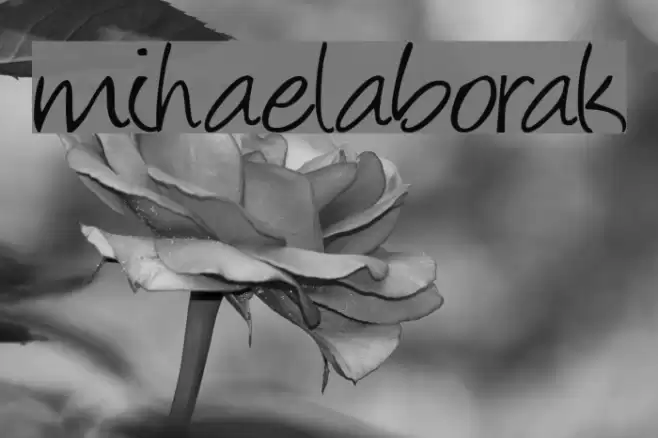 mihaelaborak  examples