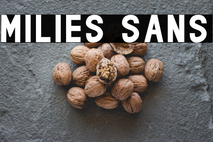 milies Sans Example 1