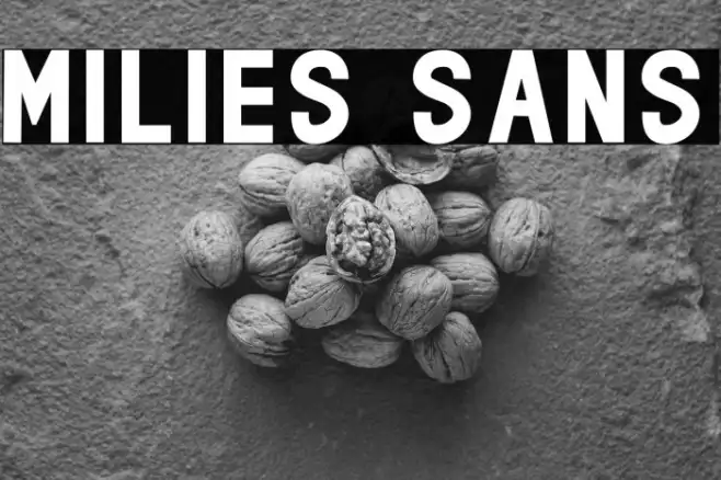 milies Sans Example 1