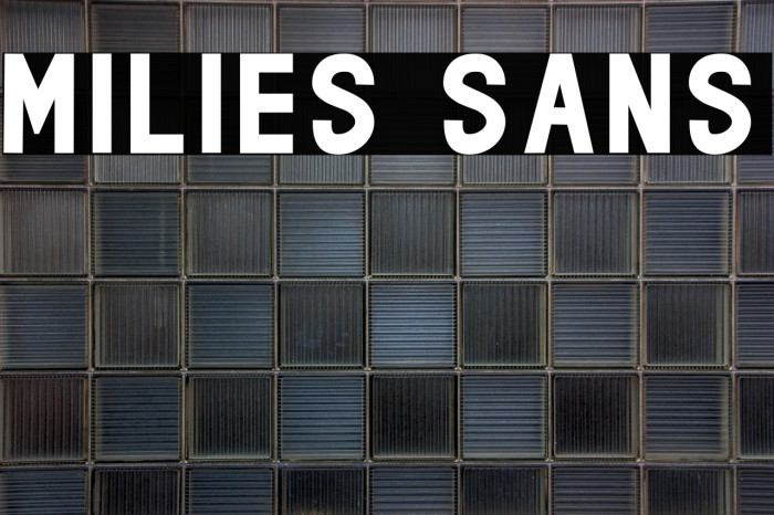 milies Sans Example 2