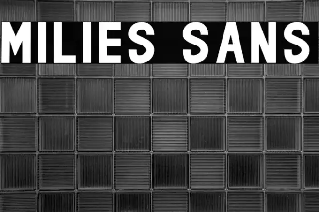 milies Sans Example 2