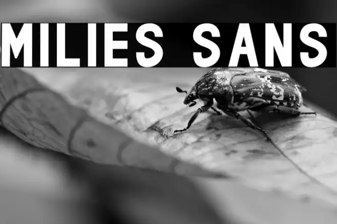 milies Sans Example 3