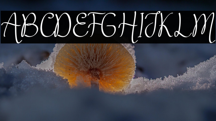 milky butter Example 3