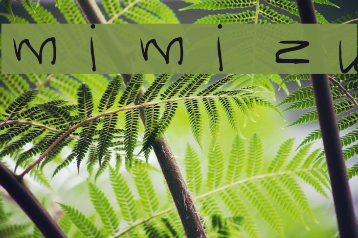 mimizu Font examples