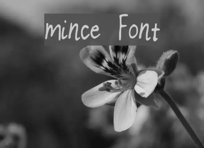 mince Font examples