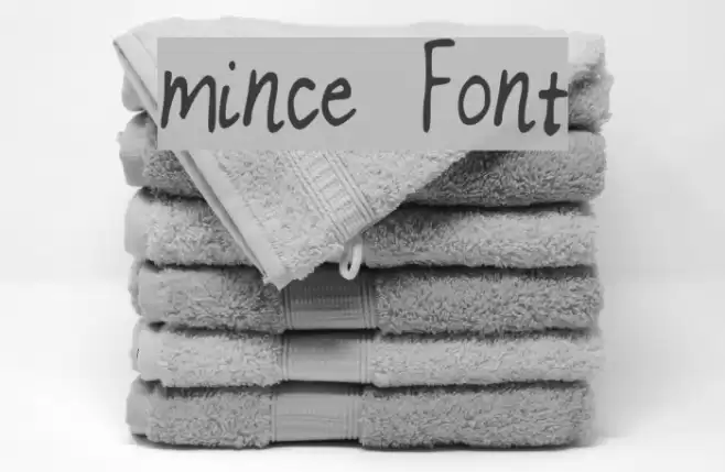 mince Font examples