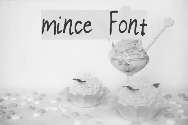 mince Font examples