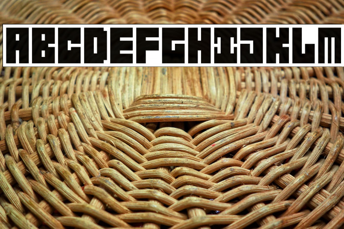 mingon Regular Example 1