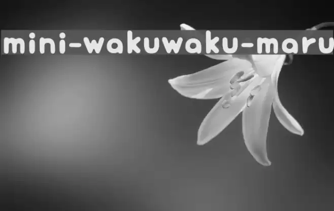 mini-wakuwaku-maru Font examples