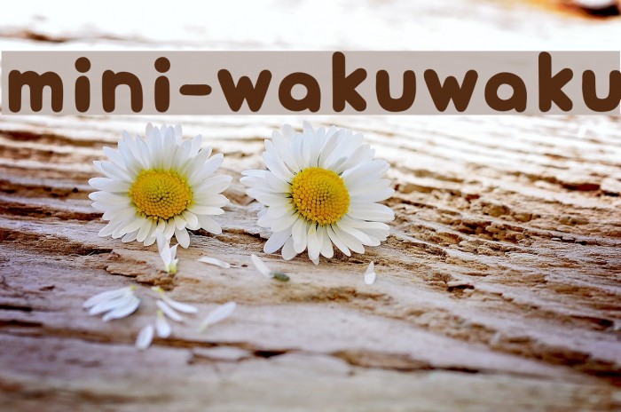 mini-wakuwaku Font examples