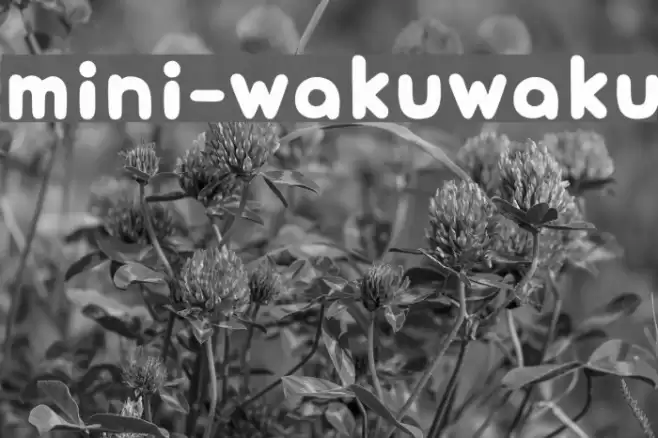 mini-wakuwaku Font examples