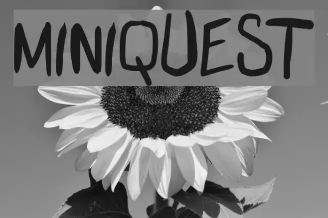 miniquest Example 3