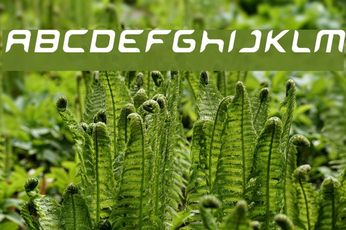 miniskip Font examples