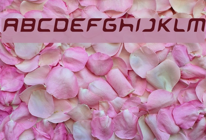 miniskip Font examples