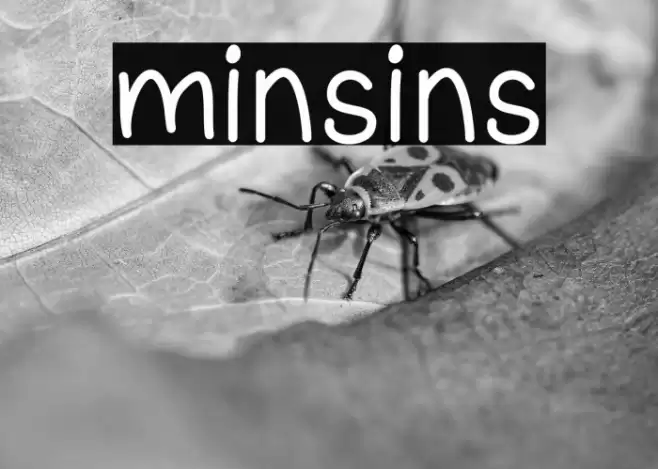 minsins Font examples