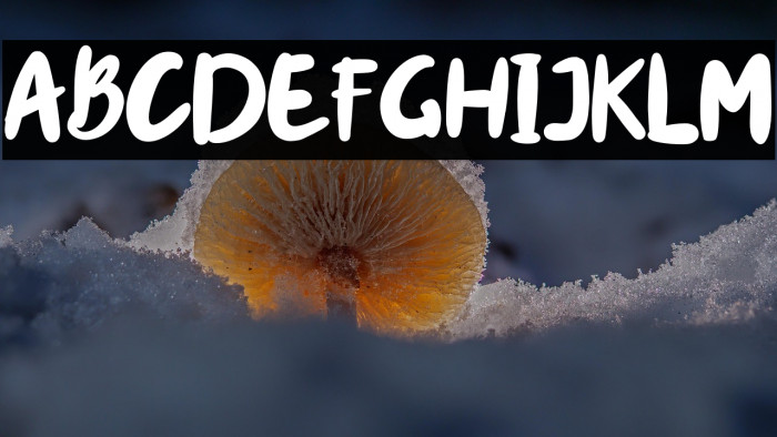 miracle-Regular Example 1