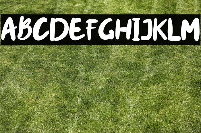 miracle-Regular Example 3