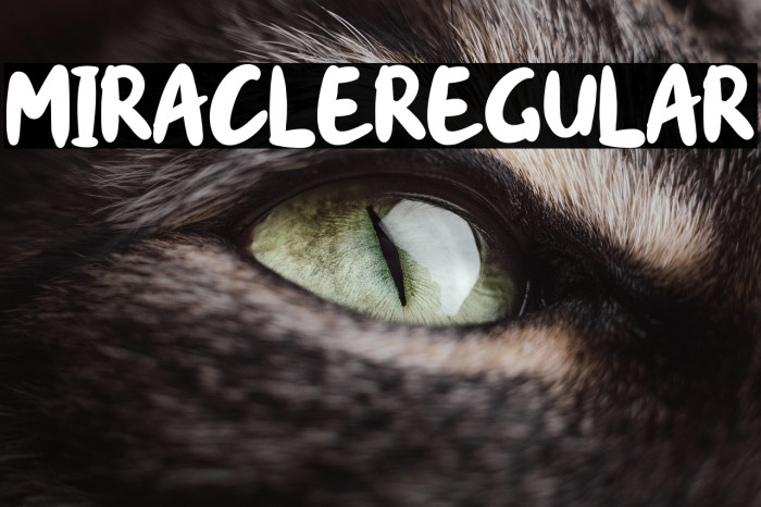 miracle-Regular Example 1