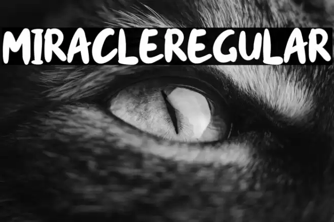 miracle-Regular Font examples