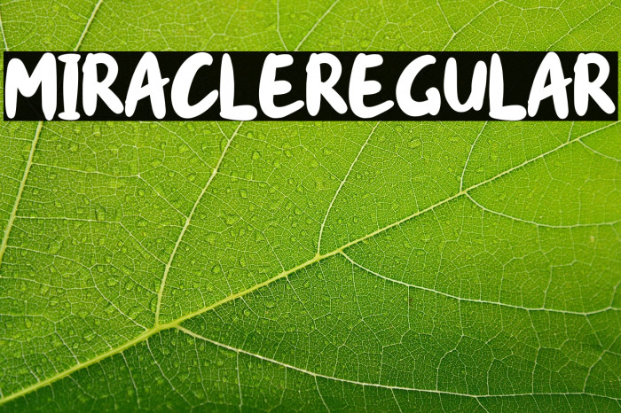 miracle-Regular Example 2